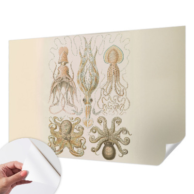 Papel de parede autocolante para quarto Vida marinha