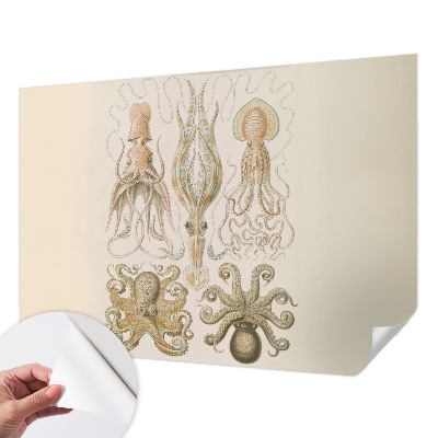 Papel de parede autocolante para quarto Vida marinha