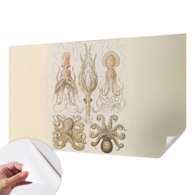 Papel de parede autocolante para quarto Vida marinha