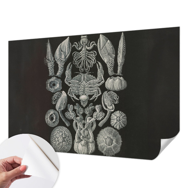 Autocolante de parede fotográfico Formas subaquáticas