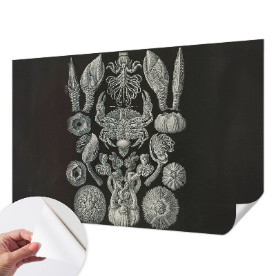 Autocolante de parede fotográfico Formas subaquáticas