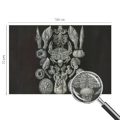 Autocolante de parede fotográfico Formas subaquáticas