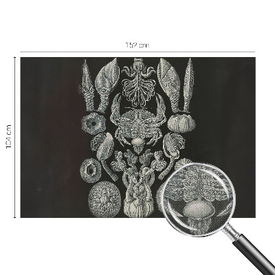 Autocolante de parede fotográfico Formas subaquáticas