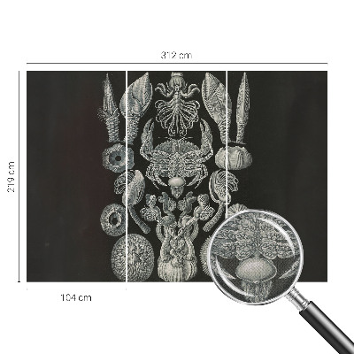 Autocolante de parede fotográfico Formas subaquáticas