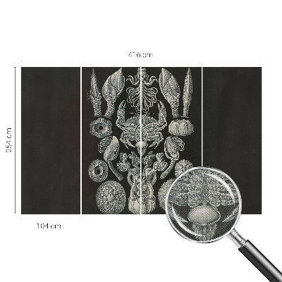 Autocolante de parede fotográfico Formas subaquáticas