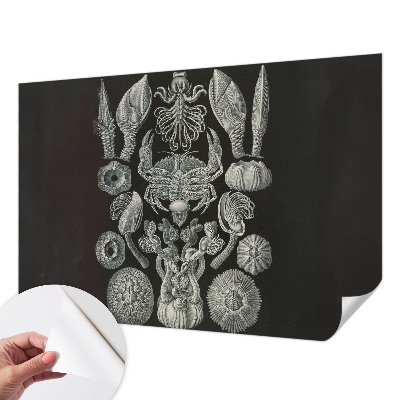 Autocolante de parede fotográfico Formas subaquáticas