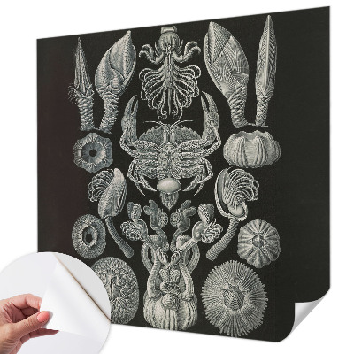 Autocolante de parede fotográfico Formas subaquáticas