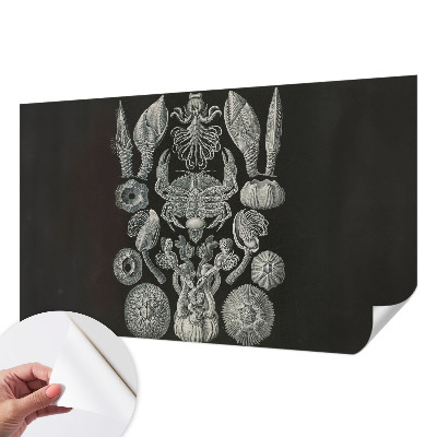 Autocolante de parede fotográfico Formas subaquáticas