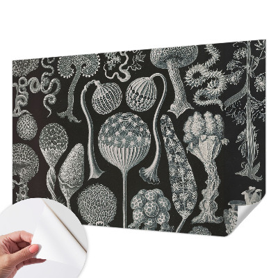 Papel de parede autocolante com estampa de plantas em estilo mágico
