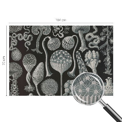 Papel de parede autocolante com estampa de plantas em estilo mágico