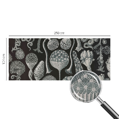 Papel de parede autocolante Plantas mágicas