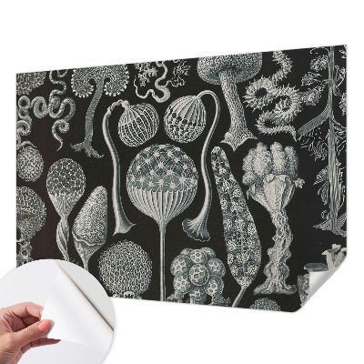 Papel de parede autocolante com estampa de plantas em estilo mágico