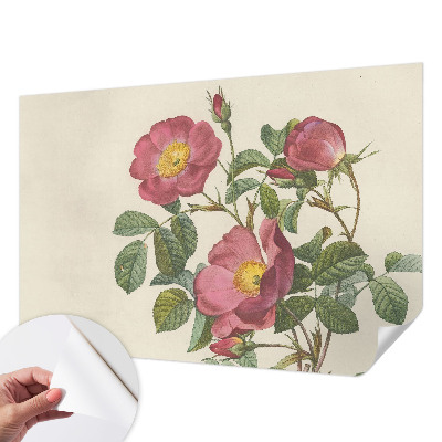 Papel de parede 3D com motivo de rosa