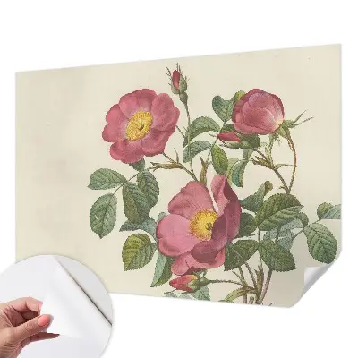 Papel de parede 3D com motivo de rosa