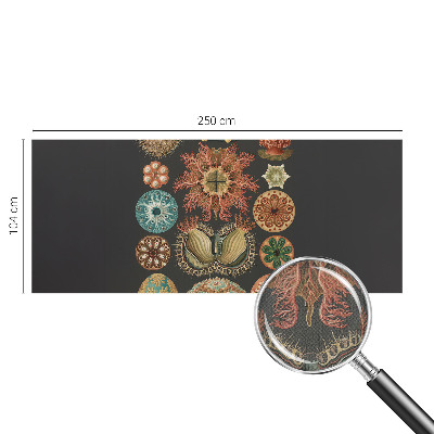 Papel de parede autocolante Inspirações marítimas