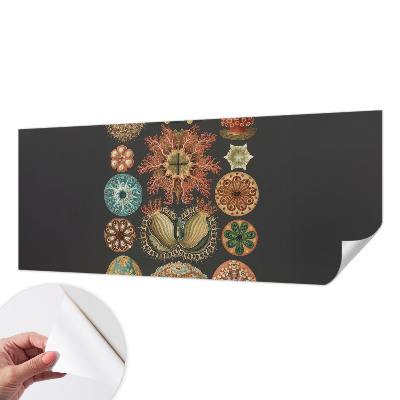 Papel de parede autocolante com motivo inspirador de temática marítima