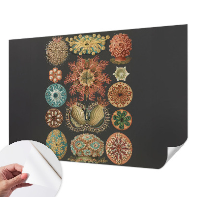 Papel de parede autocolante Inspirações marítimas