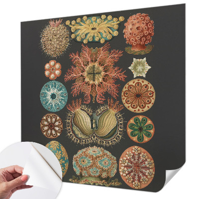 Papel de parede autocolante Inspirações marítimas