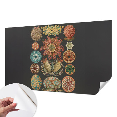 Papel de parede autocolante Inspirações marítimas