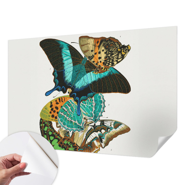 Papel de parede autocolante para sala Borboletas coloridas