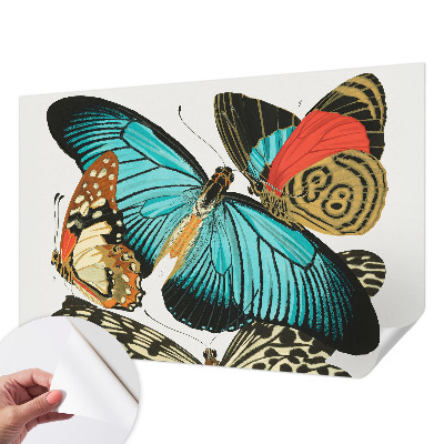 Papel de parede autocolante para quarto Borboletas coloridas