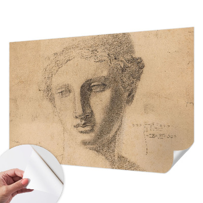 Papel de parede autocolante Retrato feminino