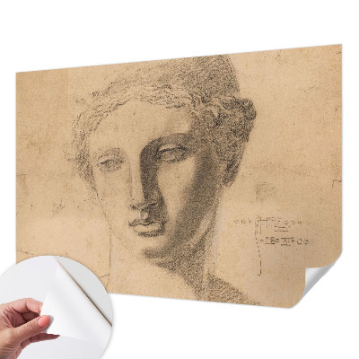 Papel de parede autocolante Retrato feminino