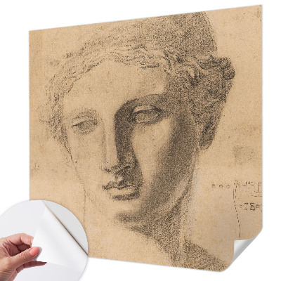 Papel de parede autocolante Retrato feminino
