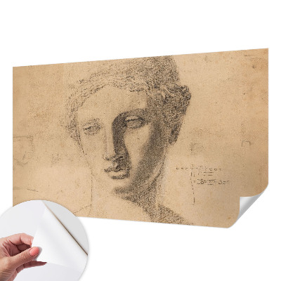 Papel de parede autocolante Retrato feminino