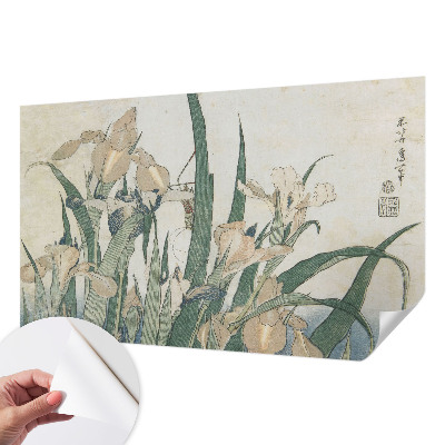 Papel de parede autocolante Íris delicadas