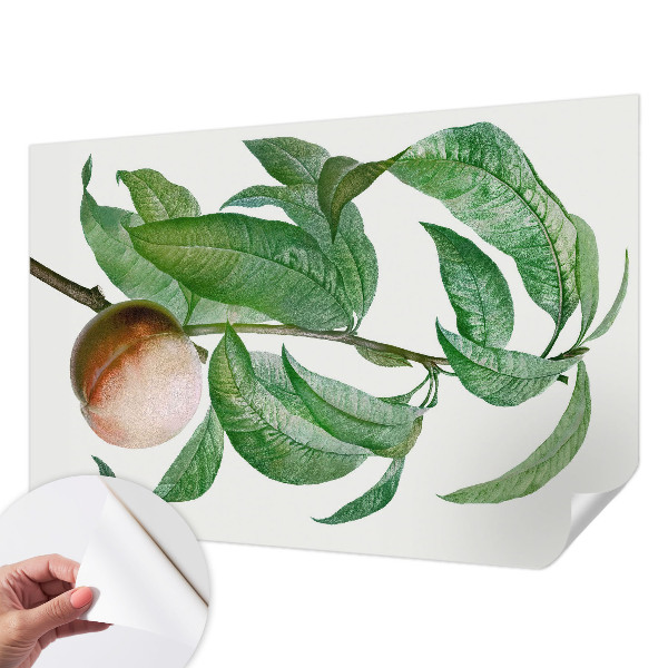 Papel de parede autocolante para quarto Pêssego maduro