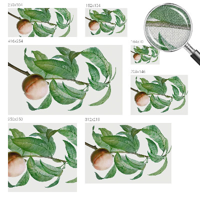 Papel de parede autocolante para quarto Pêssego maduro