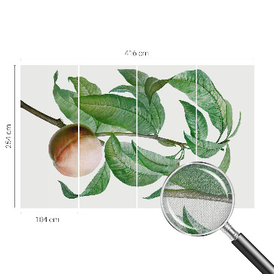 Papel de parede autocolante para quarto Pêssego maduro