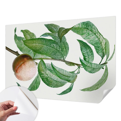 Papel de parede autocolante para quarto Pêssego maduro