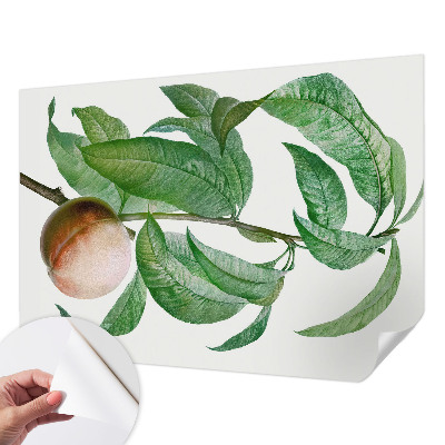 Papel de parede autocolante para quarto Pêssego maduro