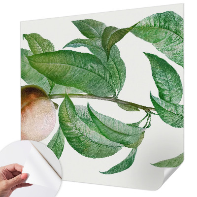 Papel de parede autocolante para quarto Pêssego maduro