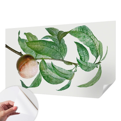 Papel de parede autocolante para quarto Pêssego maduro