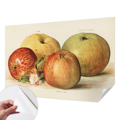 Papel de parede autocolante com estampa de flores de macieira