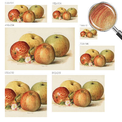 Papel de parede autocolante flores de macieira