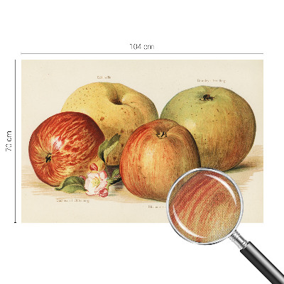 Papel de parede autocolante flores de macieira