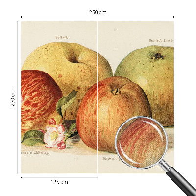 Papel de parede autocolante flores de macieira