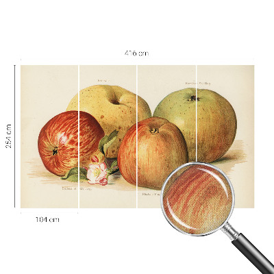 Papel de parede autocolante flores de macieira