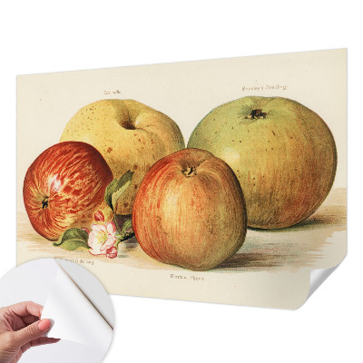 Papel de parede autocolante com estampa de flores de macieira