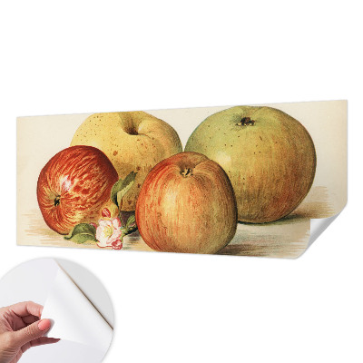 Papel de parede autocolante com estampa de flores de macieira