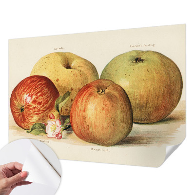Papel de parede autocolante com estampa de flores de macieira