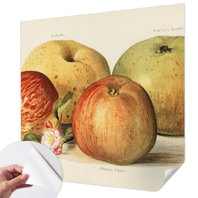 Papel de parede autocolante com estampa de flores de macieira