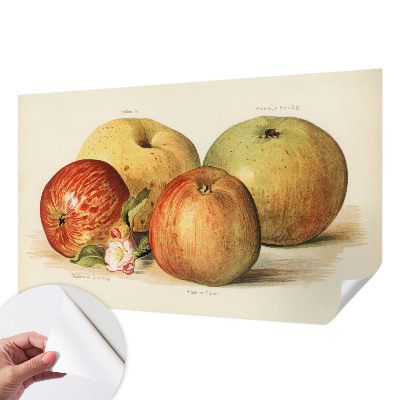 Papel de parede autocolante com estampa de flores de macieira