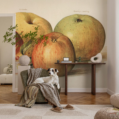 Papel de parede autocolante flores de macieira