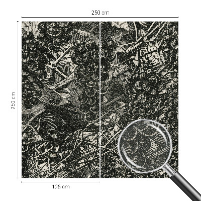 Autocolante de parede fotográfico com estampa de uva
