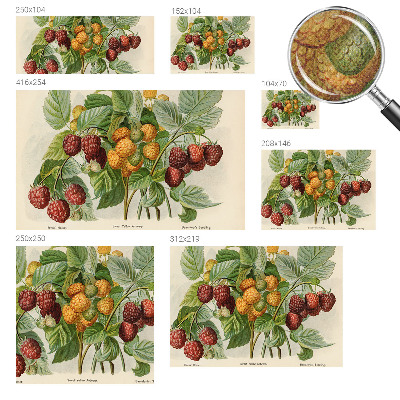 Papel de parede 3D Framboesas clássicas